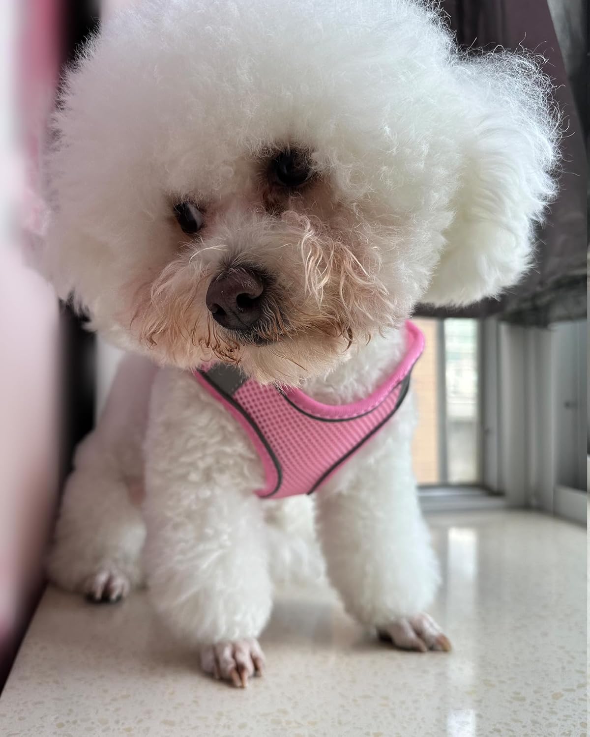 Dog Harness for Small Medium Dogs No Pull, Puppy Harness and Leash Set, Puppy Harness for Small Dogs, Step in Harness for Small Dogs, Small Dog Harness, mesh Dog Harness. (Pink, XS)