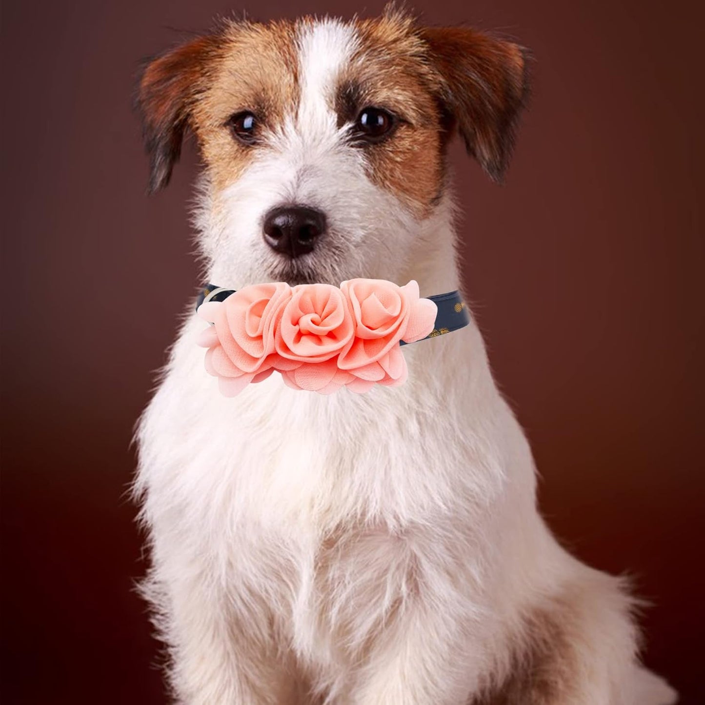 4 or 6 or 20PCS Dog Collar Large Flowers Pet Collar Charms Attachment for Small Medium Big Girl Female Cat Puppy Alpaca Rabbit Neck Bows Sliders Grooming Accessories