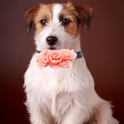 4 or 6 or 20PCS Dog Collar Large Flowers Pet Collar Charms Attachment for Small Medium Big Girl Female Cat Puppy Alpaca Rabbit Neck Bows Sliders Grooming Accessories