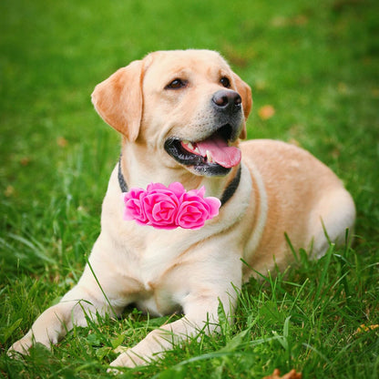 4 or 6 or 20PCS Dog Collar Large Flowers Pet Collar Charms Attachment for Small Medium Big Girl Female Cat Puppy Alpaca Rabbit Neck Bows Sliders Grooming Accessories