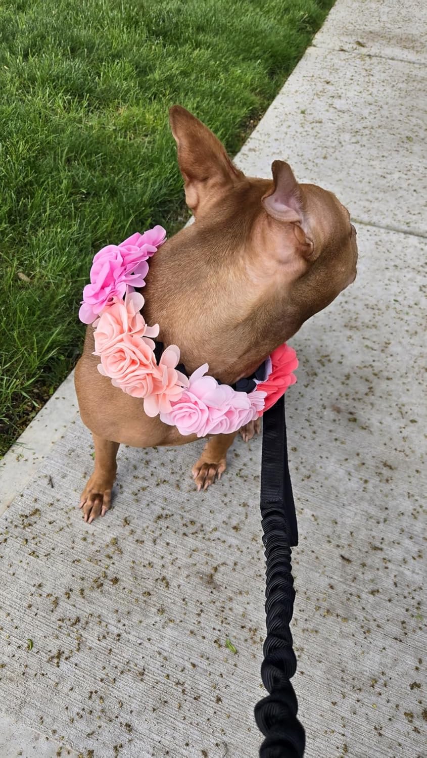 4 or 6 or 20PCS Dog Collar Large Flowers Pet Collar Charms Attachment for Small Medium Big Girl Female Cat Puppy Alpaca Rabbit Neck Bows Sliders Grooming Accessories