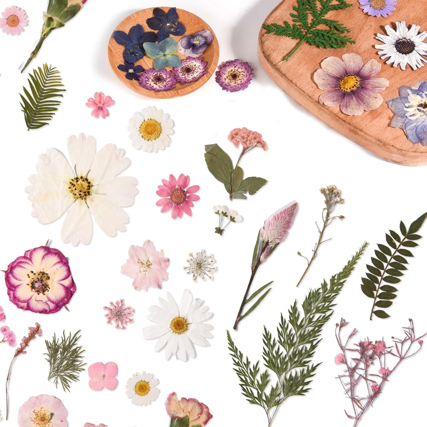 80PCS Pink Pressed Dried Flowers Dry Leaves with Tweezers | Real Pressed Flowers, For DIY Crafts, For Resin Jewelry, For Cards, Soap, CandleMaking, Nail Art, Scrapbooking