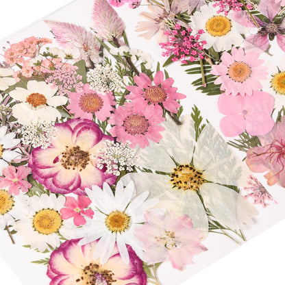 80PCS Pink Pressed Dried Flowers Dry Leaves with Tweezers | Real Pressed Flowers, For DIY Crafts, For Resin Jewelry, For Cards, Soap, CandleMaking, Nail Art, Scrapbooking