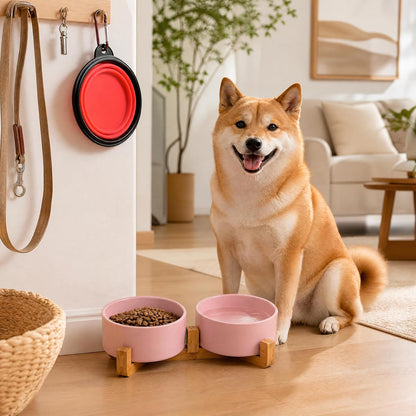 Petygooing Ceramic Cat Dog Bowl Set with Stand,Pink Pet Food and Water Dish,Small Dog Bowls Anti Slip Set of 2 Cat Bowls Pet Food Dishes Pet Bowl Small Size Pet (13.5OZ/5.1 in)