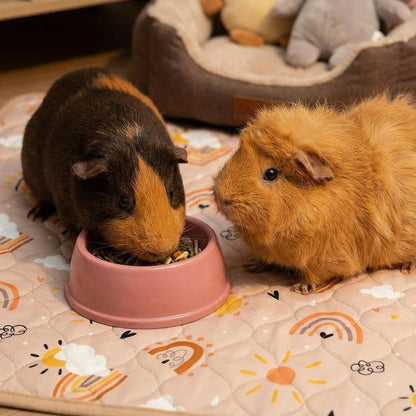 Guinea Pig Cage Liner, 59"x31" Bedding for C&C 2x4 Cage 2 Pack, Rainbow