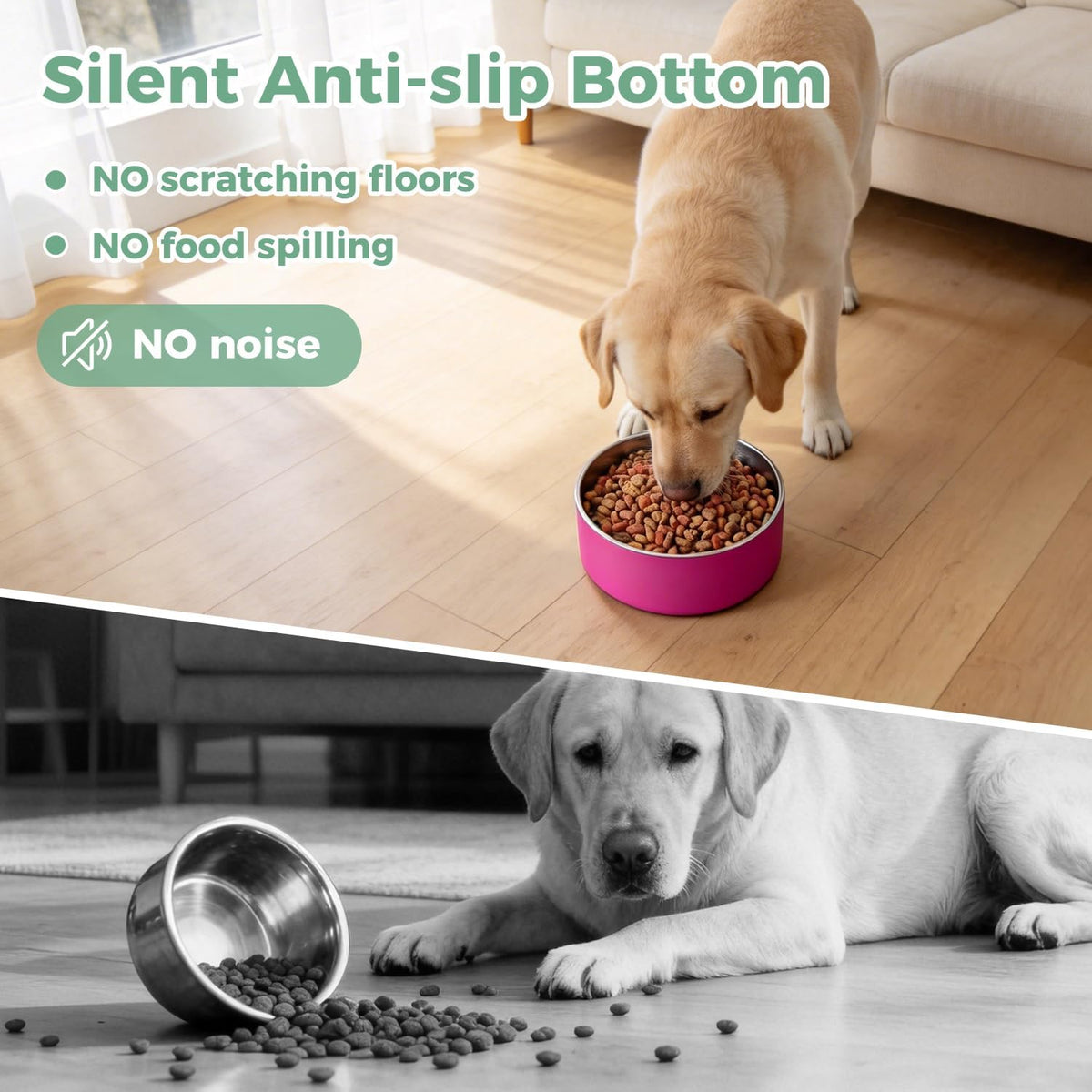 Dog Bowl,Stainless Stee Dog Water Bowl and Food Bowl,40 oz Pitaya