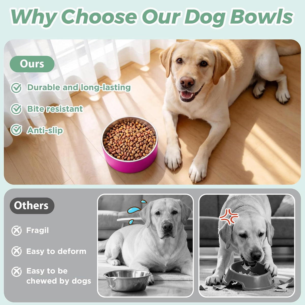 Dog Bowl,Stainless Stee Dog Water Bowl and Food Bowl,40 oz Pitaya