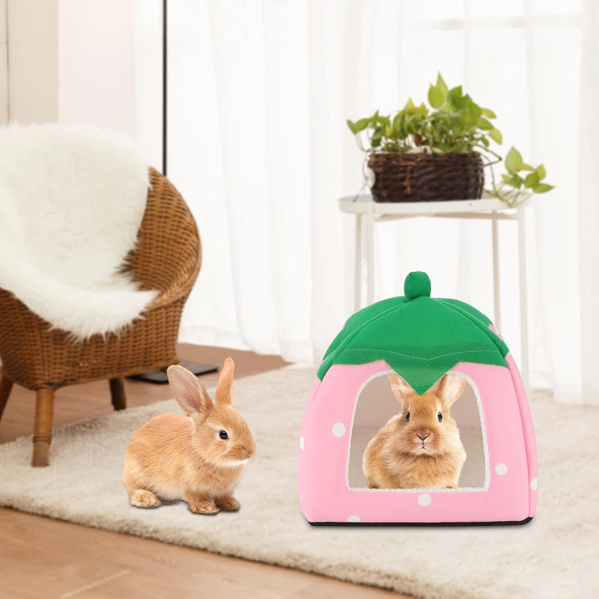 BWOGUE Guinea Pig Bed Hideout, Washable Hamster Cave for Small Animals