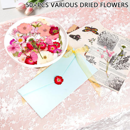 50Pcs Dried Pressed Flowers Real Pressed Flowers Natural Dry Leaves Bulk Mixed Colorful Herbs Kit with Tweezers for Scrapbooking DIY Candle Jewelry Crafts Making Nails (Pink)