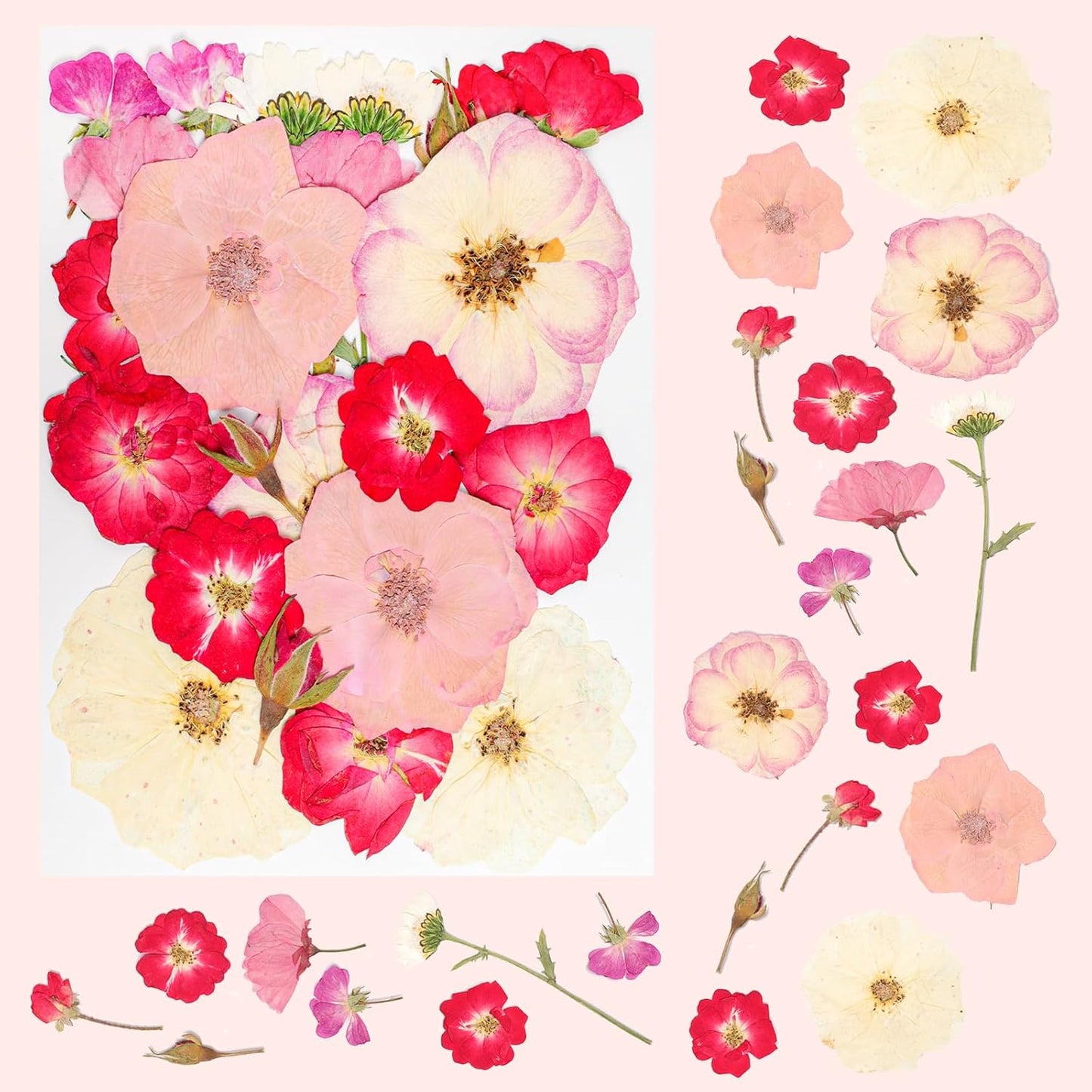 50Pcs Dried Pressed Flowers Real Pressed Flowers Natural Dry Leaves Bulk Mixed Colorful Herbs Kit with Tweezers for Scrapbooking DIY Candle Jewelry Crafts Making Nails (Pink)