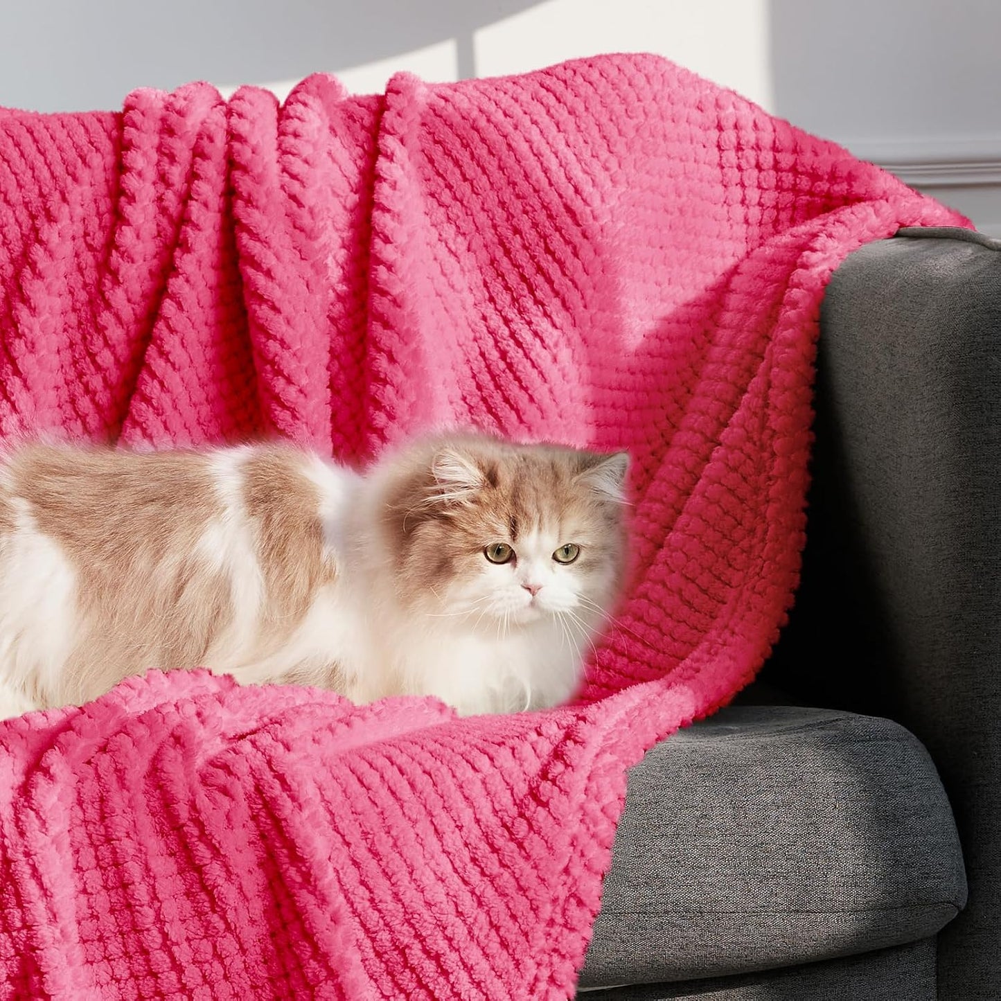 Whale Flotilla Extra Large Fuzzy Fleece Throw Blanket for Couch, 50x70 Inch Fluffy Soft Jacquard Blankets for All Season, Lightweight and Cozy, Hot Pink