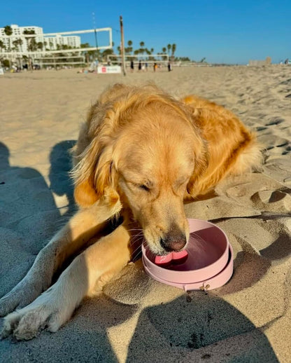 Travel Dog Bowls, Portable Outdoor Water, BPA-Free Water Bowl Set, Food Grade Plastic Dog Travel Bowl, Dog Camping Essentials, Travel Container