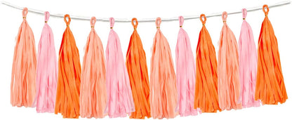 15PCS Pink Orange Peach DIY Tissue Tassel Garland Groovy Retro Party Tassel Banner Bunting Streamer for Girl Baby Shower Groovy Halloween Birthday Bridal Shower Nursery Classroom Wall Hanging Décor