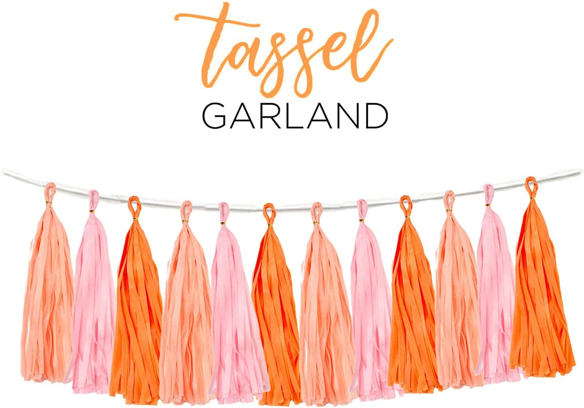 15PCS Pink Orange Peach DIY Tissue Tassel Garland Groovy Retro Party Tassel Banner Bunting Streamer for Girl Baby Shower Groovy Halloween Birthday Bridal Shower Nursery Classroom Wall Hanging Décor