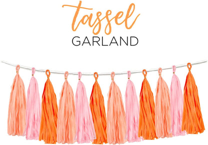 15PCS Pink Orange Peach DIY Tissue Tassel Garland Groovy Retro Party Tassel Banner Bunting Streamer for Girl Baby Shower Groovy Halloween Birthday Bridal Shower Nursery Classroom Wall Hanging Décor