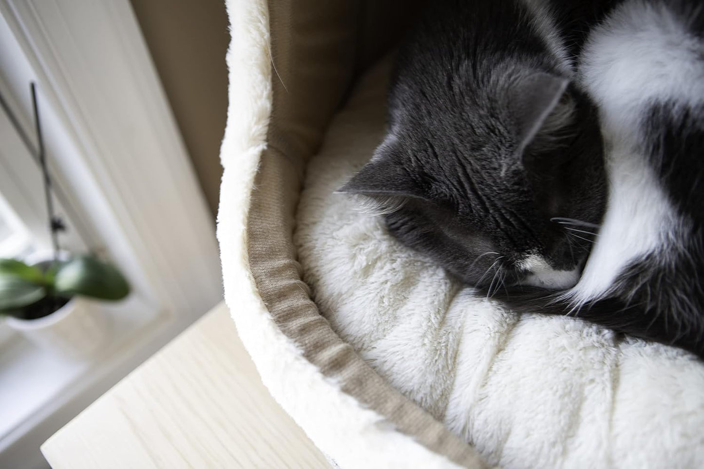 Best Pet Supplies Cat Bed for Indoor Cat, Domed Tent House with Removable Pillow, Covered Cat Cave for Small Dog, Puppies and All Breeds of Cats - Gray, 17 x 15 x H:14"