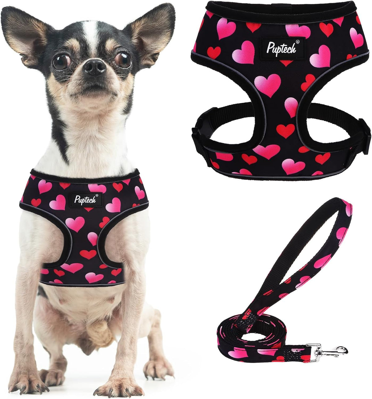 Small Dog Harness and Leash Set No Pull for XS XXS Sized Dogs Puppy