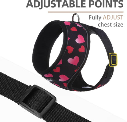 Small Dog Harness and Leash Set No Pull for XS XXS Sized Dogs Puppy