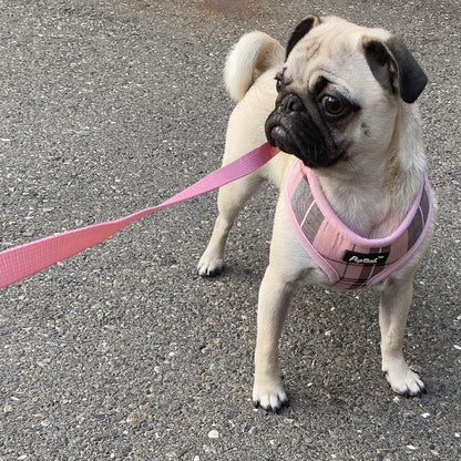 Small Dog Harness and Leash Set No Pull for XS XXS Sized Dogs Puppy