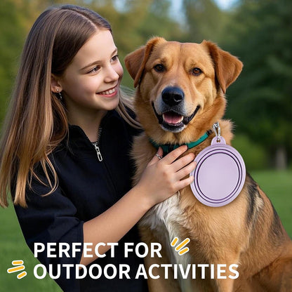 Collapsible Dog Bowls 2-Pack, Portable Travel Dog Bowl with Carabiner, Food-Grade Silicone Pet Bowl for Hiking, Walking (22 OZ Macaron Pink and Violet)