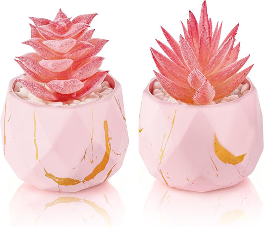 2 Pack Small Fake Succulents in Pink Pots for Office Desk Decor