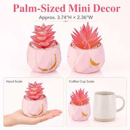 2 Pack Small Fake Succulents in Pink Pots for Office Desk Decor
