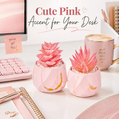 2 Pack Small Fake Succulents in Pink Pots for Office Desk Decor