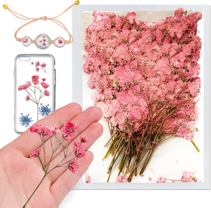 42PCS Pink Dried Pressed Flowers Babysbreath, Real Natural Dried Pressed Gypsophila Flowers with Stem, Dry Flowers for Resin DIY Phone Case Ornament Crafts Candle Making