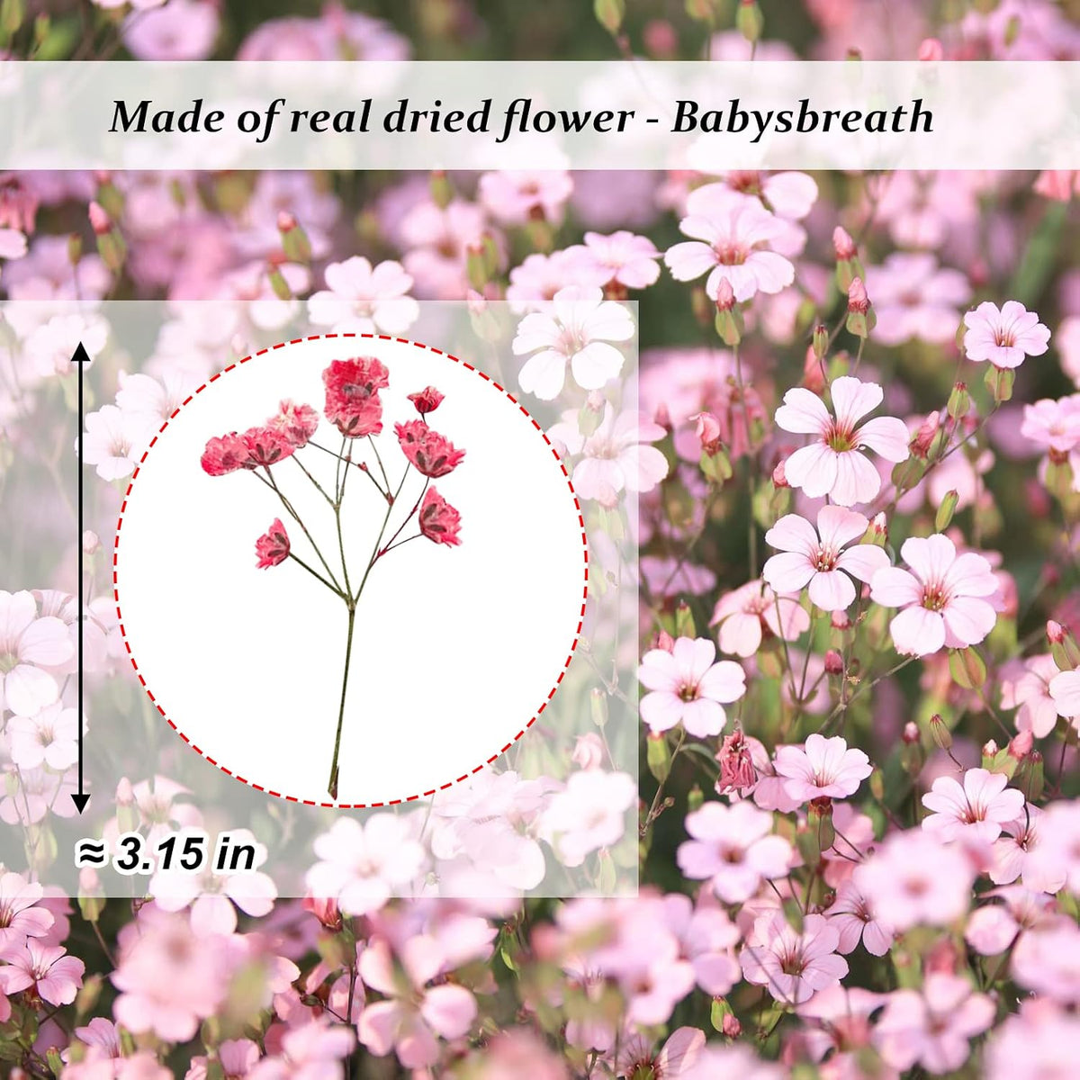 42PCS Pink Dried Pressed Flowers Babysbreath, Real Natural Dried Pressed Gypsophila Flowers with Stem, Dry Flowers for Resin DIY Phone Case Ornament Crafts Candle Making