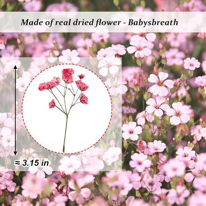 42PCS Pink Dried Pressed Flowers Babysbreath, Real Natural Dried Pressed Gypsophila Flowers with Stem, Dry Flowers for Resin DIY Phone Case Ornament Crafts Candle Making