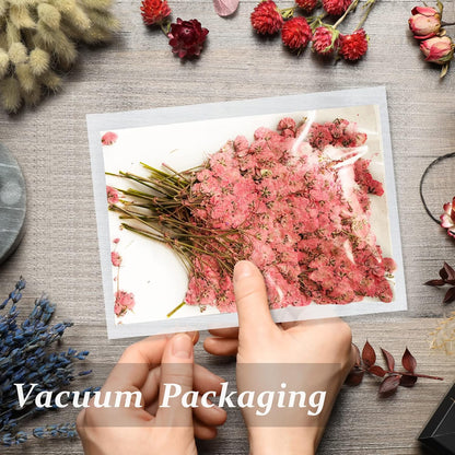 42PCS Pink Dried Pressed Flowers Babysbreath, Real Natural Dried Pressed Gypsophila Flowers with Stem, Dry Flowers for Resin DIY Phone Case Ornament Crafts Candle Making