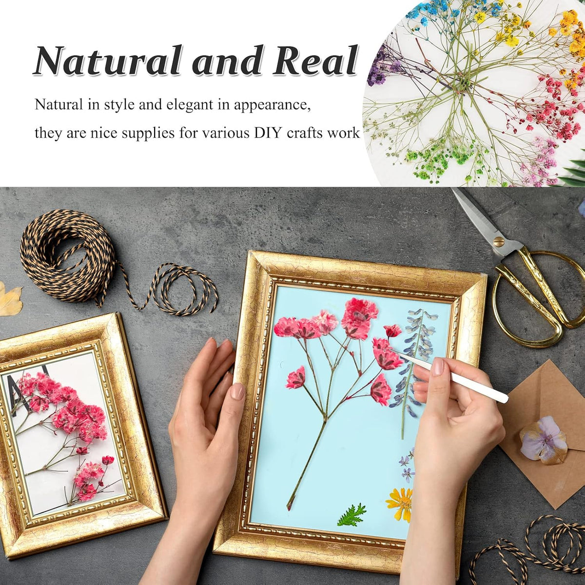 42PCS Pink Dried Pressed Flowers Babysbreath, Real Natural Dried Pressed Gypsophila Flowers with Stem, Dry Flowers for Resin DIY Phone Case Ornament Crafts Candle Making