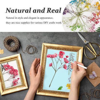 42PCS Pink Dried Pressed Flowers Babysbreath, Real Natural Dried Pressed Gypsophila Flowers with Stem, Dry Flowers for Resin DIY Phone Case Ornament Crafts Candle Making