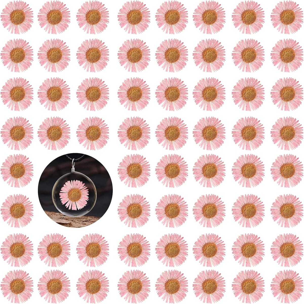 60PCS Pink Dried Dressed Flowers for Resin Decor, Natural Dry Flowers Needle Chrysanthemum for Desk Lamp Craft DIY Jewelry Candle Making Phone Case Home Decoration