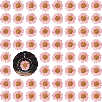 60PCS Pink Dried Dressed Flowers for Resin Decor, Natural Dry Flowers Needle Chrysanthemum for Desk Lamp Craft DIY Jewelry Candle Making Phone Case Home Decoration