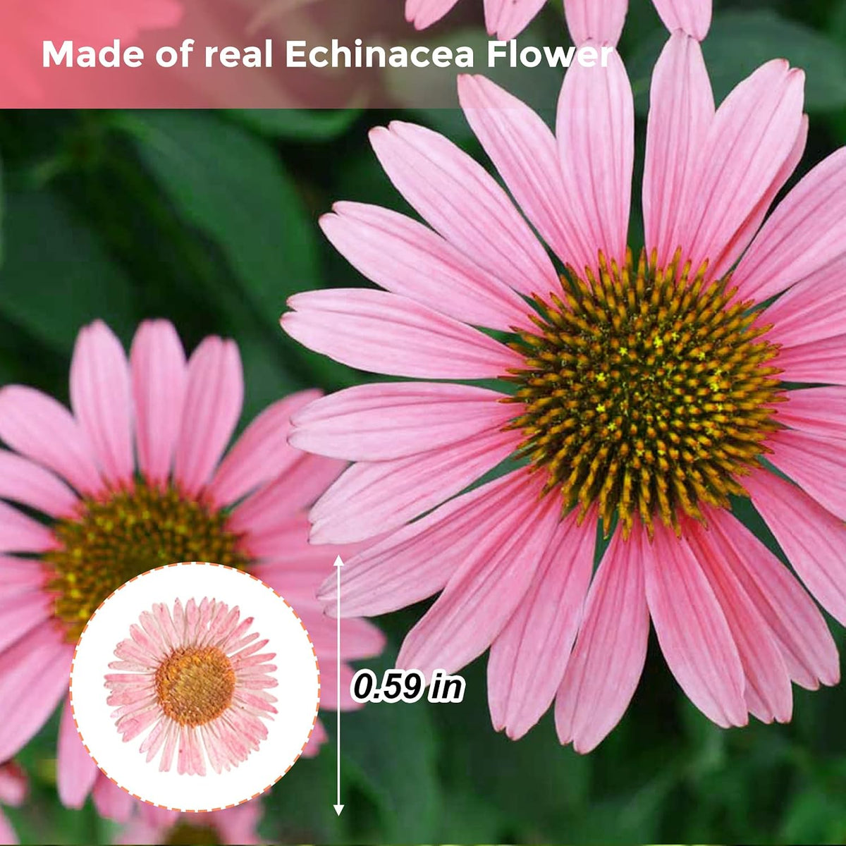 60PCS Pink Dried Dressed Flowers for Resin Decor, Natural Dry Flowers Needle Chrysanthemum for Desk Lamp Craft DIY Jewelry Candle Making Phone Case Home Decoration