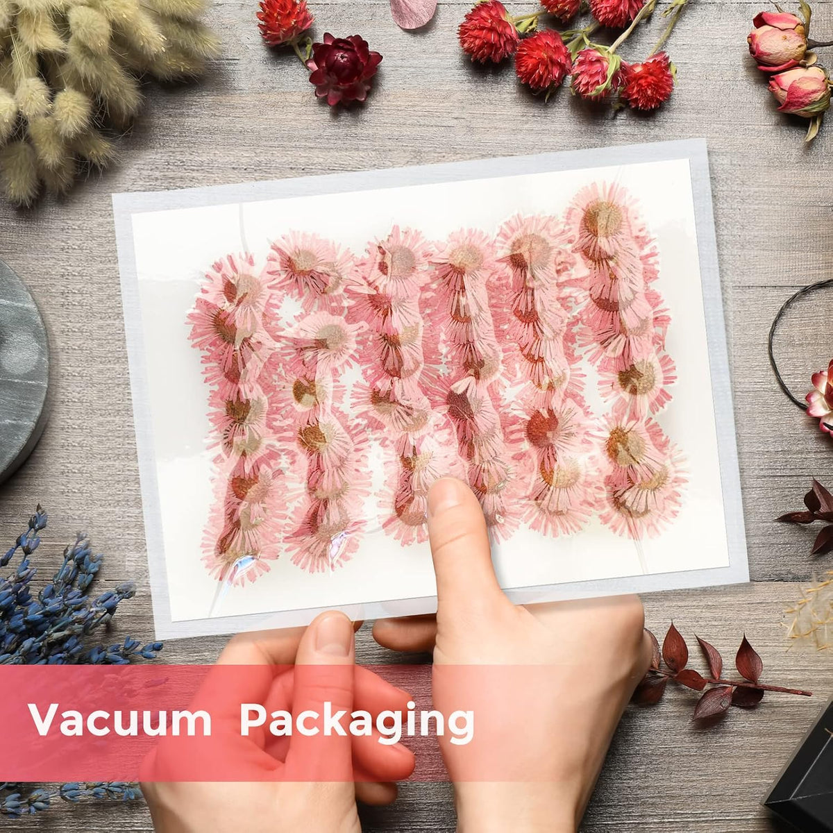 60PCS Pink Dried Dressed Flowers for Resin Decor, Natural Dry Flowers Needle Chrysanthemum for Desk Lamp Craft DIY Jewelry Candle Making Phone Case Home Decoration