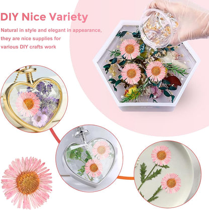 60PCS Pink Dried Dressed Flowers for Resin Decor, Natural Dry Flowers Needle Chrysanthemum for Desk Lamp Craft DIY Jewelry Candle Making Phone Case Home Decoration
