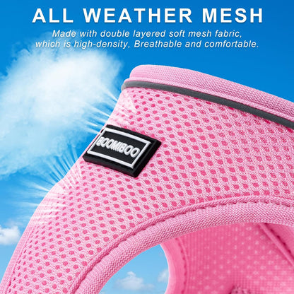 Dog Harness with Leash Set, Step-in Adjustable Puppy Pet Vest, Pink XXS