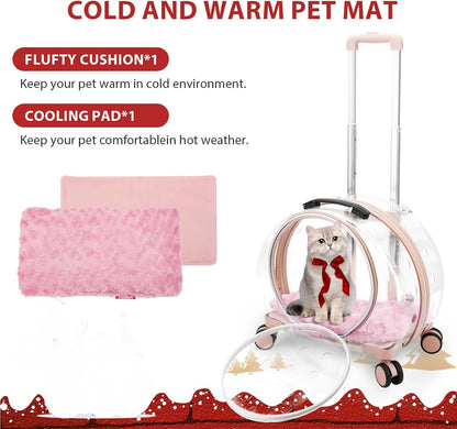 Transparent & Fully Breathable Hard cat Carrier with Rolling Wheels