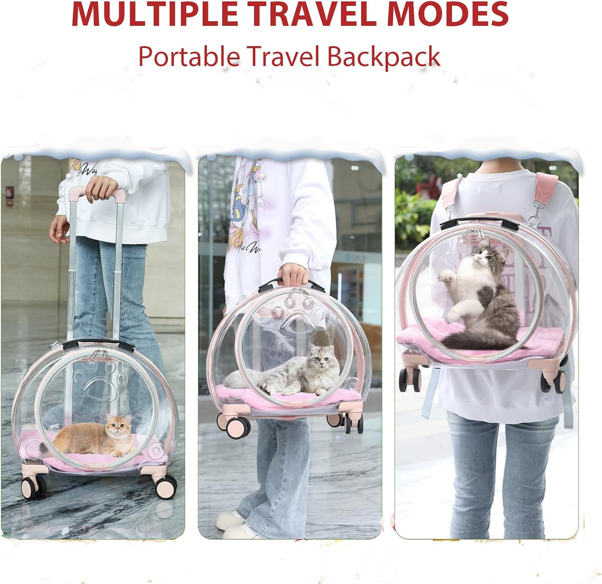 Transparent & Fully Breathable Hard cat Carrier with Rolling Wheels