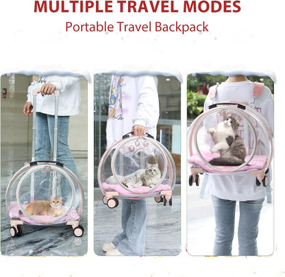 Transparent & Fully Breathable Hard cat Carrier with Rolling Wheels