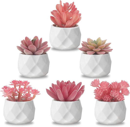 Fake Succulent Plant Set 6 PCS Artificial Succulent Plants for Desk Realistic Faux Succulents in Plastic Pots Mini Colorful Succulent Decor for Bedroom Office Shelf Decor (Pink)