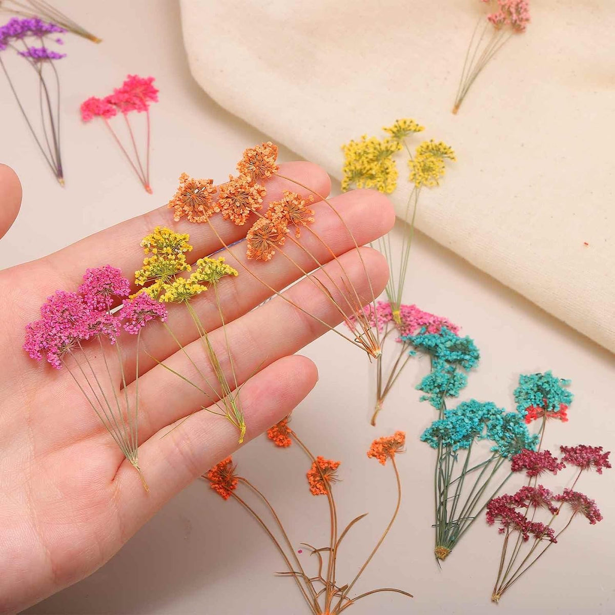 12 Pcs Natural Dried Pressed Flowers for Craft, Lace Real Pressed Dried Flowers Colorful Bouquets for Resin Moulds DIY Scrapbooking Candle Jewelry Making, Dark Pink