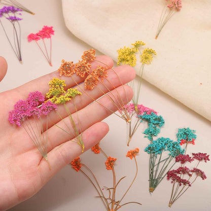 12 Pcs Natural Dried Pressed Flowers for Craft, Lace Real Pressed Dried Flowers Colorful Bouquets for Resin Moulds DIY Scrapbooking Candle Jewelry Making, Dark Pink