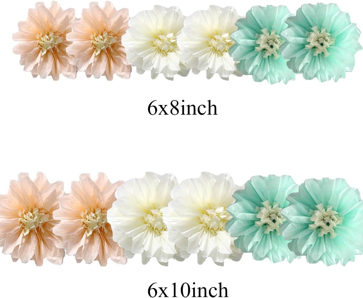 12pcs 8in10in MintCreamPeach Tissue Paper Flower Paper Pom Poms WallFlower
