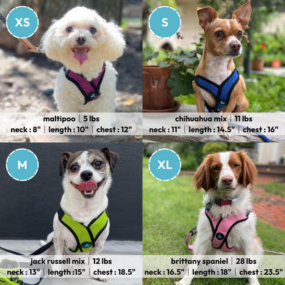 Comfort X Step-in Lite Harness, Choke-Free, Pink, Medium