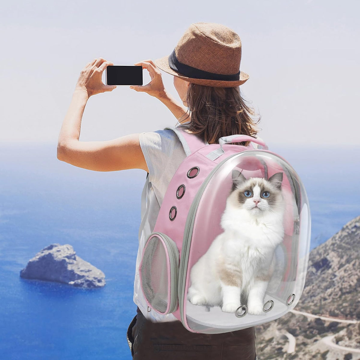 Cat Backpack, Airline Approved Bubble Carrying Bag for Small Medium Dogs Cats, Space Capsule Pet Carrier Dog Hiking Backpack Travel Carrier (Pink)