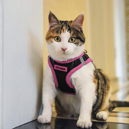 Voyager Step-in Air Dog Vest Harness - Black/Pink Trim, Small