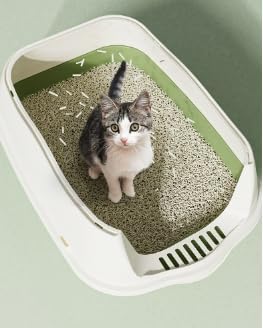 Large Covered Litter Box With Lid - Fully Enclosed Cat Toilet Pan and Scoop